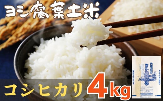 令和6年産 品種が選べる ヨシ腐葉土米 精米4kg ＜コシヒカリ＞　 850912 - 宮城県石巻市