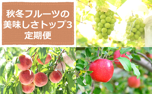 【令和7年産先行予約】 《定期便3回》 秋冬フルーツの美味しさトップ3定期便 『フードシステムズ』 山形県 南陽市 [2263-R7]