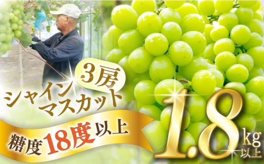 【2025年8月中旬〜発送】【数量限定】【糖度18度以上】シャインマスカット 3房 1.8kg以上 / ぶどう ブドウ 葡萄 マスカット しゃいんますかっと フルーツ 果物 / 南島原市 / ミナサポ [SCW072] 1460841 - 長崎県南島原市