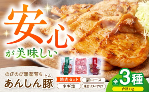 あんしん豚 焼き肉セット 豚肉 ロース 国産 白川町 / 藤井ファーム [AWAF005] 901056 - 岐阜県白川町