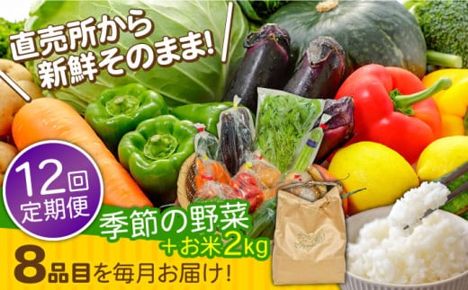 【12回定期便】直売所より発送！お米と季節の野菜セット 8品目 / 米 こめ 白米 野菜定期便 やさい定期便 野菜 やさい 旬 詰め合わせ / 南島原市 / ながさき南部生産組合 [SBW015] 1013739 - 長崎県南島原市