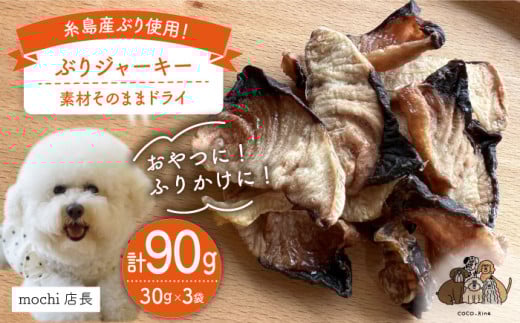 ぶり ジャーキー 30g×3袋 糸島市 / 株式会社コバヤシ【coco.kina】 [ASL010] 675812 - 福岡県糸島市