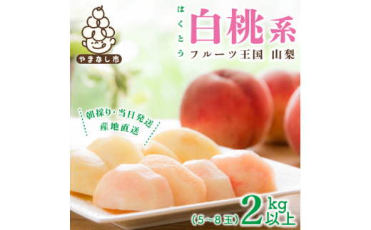 2025年先行受付 山梨県産 桃 白桃系 2kg以上(5～8玉) フルーツ王国・山梨から産地直送【1137262】 338562 - 山梨県山梨市