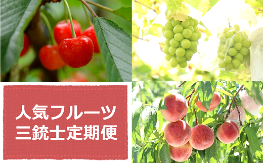 【令和7年産先行予約】 《定期便3回》 人気フルーツ三銃士定期便 『フードシステムズ』 山形県 南陽市 [2261-R7]