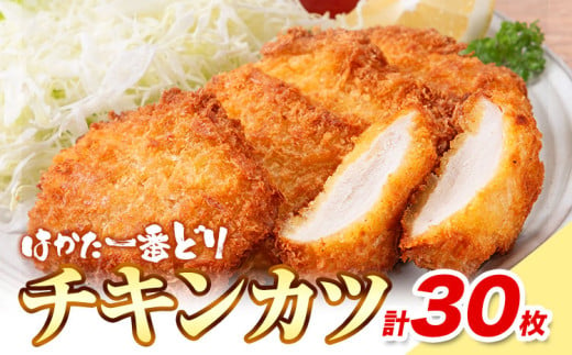 はかた一番どり チキンカツ 30枚 入り 5枚 × 6袋 《30日以内に出荷予定予定(土日祝除く)》福岡県 鞍手郡 小竹町　大容量 鶏肉 鳥肉 冷凍 送料無料 株式会社あらい 惣菜 カツ むね肉 1533359 - 福岡県小竹町