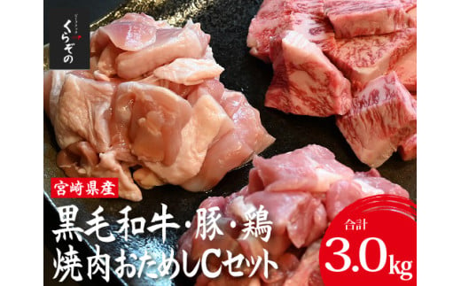 宮崎県産 牛・豚・鶏 焼肉おためしCセット 計3kg（牛肉 豚肉 鶏肉 和牛 焼肉 訳あり 小分け 食べ比べ）