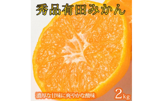 秀品 有田みかん 2kg 2S〜Lサイズのいずれか◇※2025年11月下旬〜2026年1月下旬頃に順次発送予定 ふるさと納税 みかん
