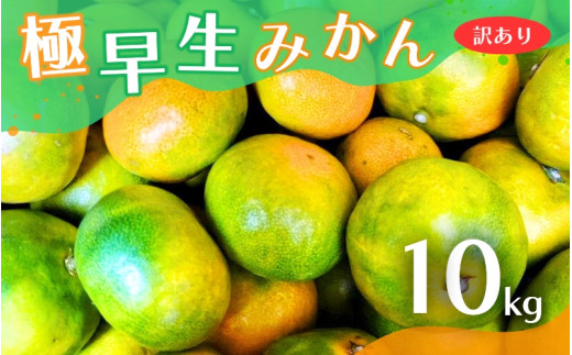 【2025年秋頃発送予約分】【訳あり】こだわりの極早生みかん 約10kg ※2025年10月上旬より順次発送予定（お届け日指定不可） 有機質肥料100% サイズ混合 有田産【nuk167A】