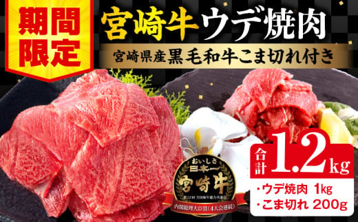 【期間限定】宮崎牛ウデ焼肉500g×2 宮崎県産黒毛和牛小間切れ100g×2 合計1.2kg_M132-022-01-UP 1515671 - 宮崎県宮崎市