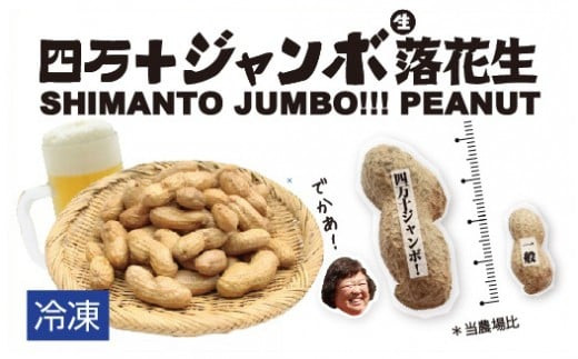 2024新豆　塩ゆで四万十ジャンボ落花生760g（380g２個）　こだわりの無農薬栽培！大きいだけじゃない！美味しさもジャンボ！Fsy-12 ピーナッツ ピーナツ ジャンボピーナッツ おつまみ ビールのお供 国産 豆  1535323 - 高知県四万十町