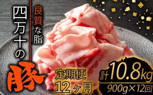 【定期便12回】四万十ポークスライス 計10.8kg（900g×12ヶ月連続お届け) 2Dコース | 豚肉 豚バラ肉 小分け 小間切れ スライス 切り落とし 冷凍 真空パック 簡単調理 細切れ 大容量 肉 高知県 須崎市 TM32000 1532712 - 高知県須崎市