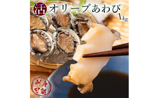 [ふるさと納税][12回定期便][配送不可地域:北海道・東北・沖縄県・離島]オリーブアワビ約1kg(10〜12個程度)×12回定期便 殻付き 鮑 特産品 送料無料 おすすめ お取り寄せ お取り寄せグルメ 海鮮 酒蒸し バター焼き ソテー 鉄板焼き BBQ あわび 秋 旬