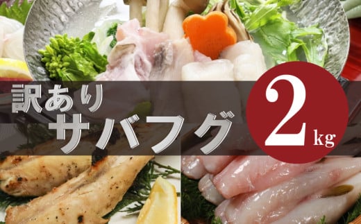 訳あり サバフグ 2kg 鍋 唐揚げ フグ 塩 焼き 小分け 魚 フグ 河豚 さかな フグ 魚介 海鮮 新鮮 さかな 海の幸 海産物 愛知県サバフグ フグ グリル ごはん 料理 おかず おつまみ 晩酌 愛知県南知多町サバフグ 塩焼き ふぐ冷凍 フグ 南知多町サバフグ 山庄水産株式会社 ふるさと納税サバフグ 愛知県 南知多町 人気 おすすめ 【離島不可】 1532647 - 愛知県南知多町