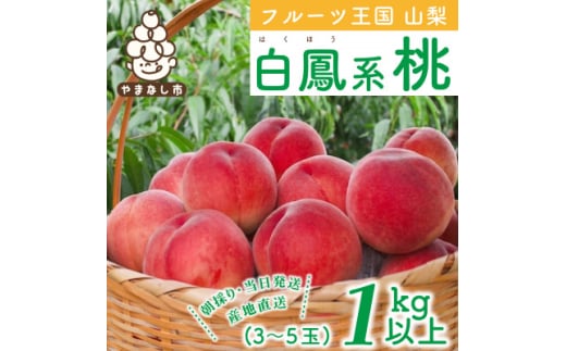 2025年先行受付 山梨県産 桃 白鳳系 1kg以上(3～5玉) フルーツ王国・山梨から産地直送【1137259】 338795 - 山梨県山梨市