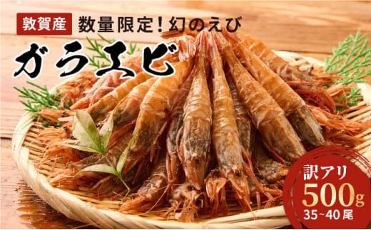 [011-a004] 【訳あり】 ガラエビ 500g / 35～40尾 [数量限定]【相木魚問屋 ガラエビ えび 海老 甘えび 甘海老 海鮮 刺身 生 生食 冷凍 お中元 お歳暮 ギフト 贈り物 プレゼント】 1523457 - 福井県敦賀市