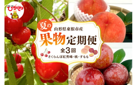 【2025年産 先行予約】山形県東根市産　果物定期便【さくらんぼ紅秀峰、桃、すもも】山形 東根 FMS提供 hi074-002-1