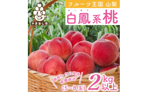 2025年先行受付 山梨県産 桃 白鳳系 2kg以上(5～8玉) フルーツ王国・山梨から産地直送【1137260】 338561 - 山梨県山梨市