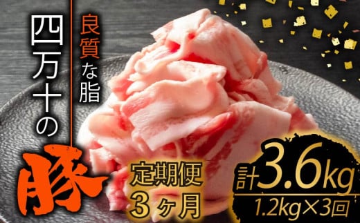 【定期便3回】四万十ポークスライス 計3.6kg（1.2kg×3ヶ月連続お届け) 2Eコース | 豚肉 豚バラ肉 小分け 小間切れ スライス 切り落とし 冷凍 真空パック 簡単調理 細切れ 大容量 肉 高知県 須崎市 TM33000 1532713 - 高知県須崎市