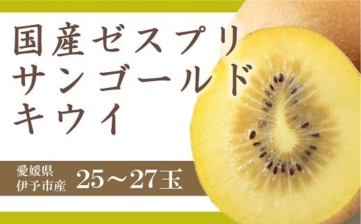 キウイ 愛媛 サンゴールドキウイ 25~27玉入り 数量限定 伊予市｜B90 566788 - 愛媛県伊予市