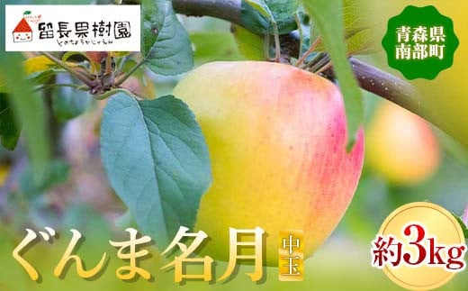 ぐんま名月（中玉） 約3kg ［10～11個入］ 【留長果樹園】 青森りんご りんご リンゴ 林檎 アップル ぐんま名月 フルーツ 果物 くだもの あおもり 青森 青森県 南部町 三戸 南部 F21U-215 461733 - 青森県南部町