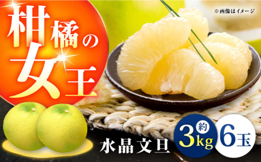 高知県産 水晶文旦 約3kg 6玉入 贈答用[2025年9月下旬〜11月上旬頃発送] / 高知 水晶 文旦 柑橘 果物 フルーツ くだもの 贈答 お中元 お歳暮 ギフト ぶんたん [株式会社 四国健商]