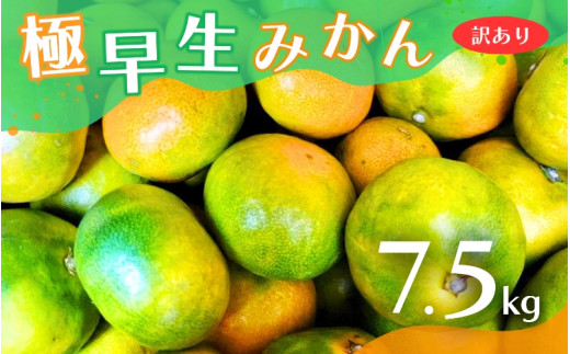 【2025年秋頃発送予約分】【訳あり】こだわりの極早生みかん 約7.5kg ※2025年10月上旬より順次発送予定（お届け日指定不可） 有機質肥料100% サイズ混合 有田産【nuk166A】
