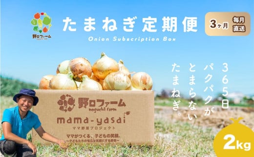 【3回定期便】mama-yasai たまねぎ２kg 1532389 - 兵庫県南あわじ市