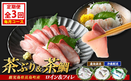 茶ぶり・茶鯛の定期便 毎月 (全3回)  国産 鹿児島県産 ブリ 茶ぶり 鰤 茶鯛 鯛 海鮮 海産物 フィレ 魚介 魚 刺身 海鮮丼 産地直送 定期【ウスイ】usui-1385A7