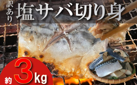 訳あり 塩サバ 切り身 約3kg (約40切前後入り) 冷凍 鯖 塩 さば 魚 さかな 海鮮 海産物 おかず サバ 鯖ご飯 おすすめ 人気 さば サバ  鯖 魚 魚介 海鮮 惣菜 塩サバ 塩鯖 焼き鯖 サバ 焼きさば 焼さば 減塩  塩 鯖 さば サバ おすすめ 人気 ふるさと納税 鯖 サバ さば ふるさと納税さば 愛知県南知多町 南知多 株式会社 山太 さば 鯖 人気 おすすめ 愛知県 南知多町 1532162 - 愛知県南知多町