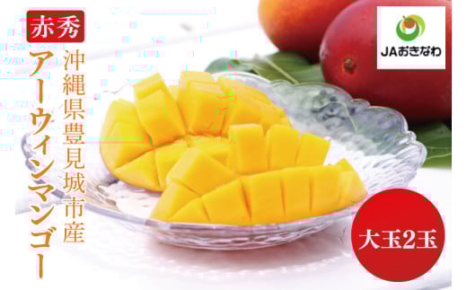赤秀アーウィンマンゴー 大玉2玉(4L)(化粧箱入り)｜沖縄県 豊見城市 マンゴー アーウィンマンゴー 大玉 フルーツ 果物 くだもの おきなわマンゴー ギフト 贈り物 化粧箱入り(AE005)