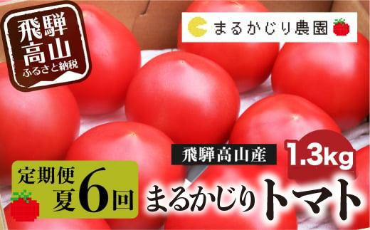 【2025年予約受付】【定期便 3ヶ月】＜全6回（8～10月 毎月2回）＞ 飛騨高山産 トマト 『麗月』 1.3kg | とまと tomato 産地直送 夏 野菜 飛騨高山 まるかじり農園 FW102 592257 - 岐阜県高山市