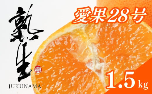 熟生 寿 あいか 1.5kg 愛果28号 愛果 みかん 柑橘 蜜柑 フルーツ 先行予約 松山市 愛媛県 数量限定 636508 - 愛媛県松山市