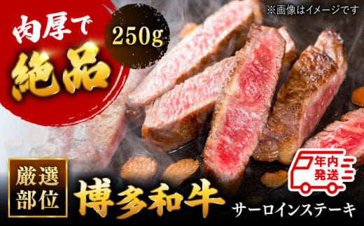 【年内発送対象】博多和牛 サーロイン ステーキ 250g[250g×1枚]  ▼ 国産牛 黒毛和牛 焼き肉 焼肉 牛丼 高品質 お祝い お礼 桂川町/株式会社 MEAT PLUS[ADAQ004] 293920 - 福岡県桂川町