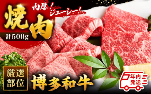 【年内発送対象】博多和牛 焼肉 用 500g ▼ 国産牛 博多 黒毛和牛 牛肉 焼き肉 やきにく BBQ バーベキュー 高品質 お祝い 御祝 お礼 桂川町/株式会社 MEAT PLUS[ADAQ009] 290661 - 福岡県桂川町