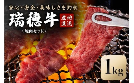 瑞穂牛焼肉セット 1.0Kg 牛肉 やきにく バラ 肩ロース 肩 肩バラ トモサンカク イチボ ブランド牛 冷凍配送 茨城県 お中元 焼肉の日 敬老の日 常陸牛 焼肉 盛り合わせ 食べ比べ 国産 肉 BBQ セット 696915 - 茨城県常陸大宮市