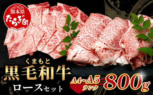 A4・A5 くまもと黒毛和牛 ロース セット 計 800g ( すき焼き / 焼肉 各400g ) 本場 熊本県 ブランド 牛 黒毛 和牛 厳選 A4以上 肉 上質 熊本県 113-0507