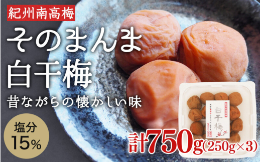 そのまんま白干梅 A級品 計750g（250g×3個） / 梅干し 梅干 梅 紀州南高梅 A級 和歌山 和歌山県産 田辺市 南高梅 白干し梅 無添加 しょっぱい梅干し 昔ながらの梅干し なつかしい【kfo015-1】 1119223 - 和歌山県田辺市