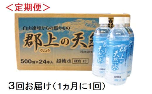 【R-10】（定期便）清流長良川源流「郡上の天然水」500ml(24本入)1箱×3回お届け 1534739 - 岐阜県郡上市