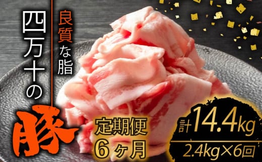 【定期便6回】四万十ポークスライス 計14.4kg（2.4kg×6ヶ月連続お届け) 2Lコース | 豚肉 豚バラ肉 小分け 小間切れ スライス 切り落とし 冷凍 真空パック 簡単調理 細切れ 大容量 肉 高知県 須崎市 TM40000 1532720 - 高知県須崎市