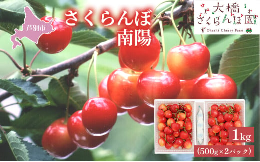 【先行受付】さくらんぼ 南陽1kg（500g×2パック）高級 サクランボ 北海道 芦別産 赤 3L [№5342-0281]