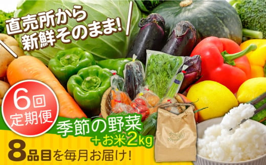 【6回定期便】直売所より発送！お米と季節の野菜セット 8品目 / 米 こめ 白米 野菜定期便 やさい定期便 野菜 やさい 旬 詰め合わせ / 南島原市 / ながさき南部生産組合 [SBW014] 1013738 - 長崎県南島原市