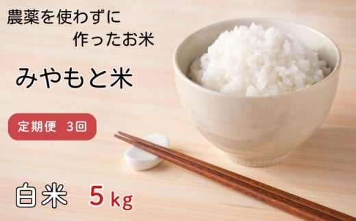 【定期便3回】農薬を使わずに作ったお米　みやもと米（白米）　5kg 1546286 - 千葉県匝瑳市