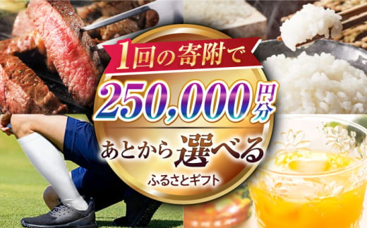 【あとから選べる】江北町ふるさとギフト 寄附金額 25万円分【佐賀県江北町】 [HZZ007] 1212490 - 佐賀県江北町