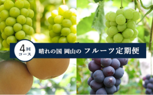 [№5615-0620]【2025年 先行予約 】晴れの国 岡山 の フルーツ 定期便 4回コース 岡山県産 葡萄 ぶどう 梨 なし