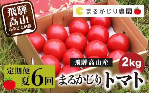 【2025年予約受付】【定期便 3ヶ月】＜全6回（8～10月 毎月2回）飛騨高山産 トマト 『麗月』 2kg | とまと tomato 産地直送 夏 野菜 飛騨高山 まるかじり農園 FW103 592258 - 岐阜県高山市