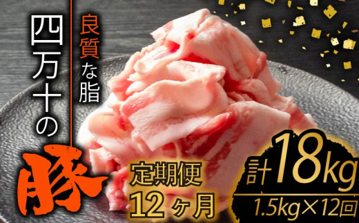 【定期便12回】四万十ポークスライス 計18kg（1.5kg×12ヶ月連続お届け) 2Jコース | 豚肉 豚バラ肉 小分け 小間切れ スライス 切り落とし 冷凍 真空パック 簡単調理 細切れ 大容量 肉 高知県 須崎市 TM38000 1532718 - 高知県須崎市