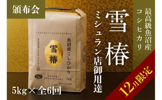 【12月限定・数量限定】【頒布会】雪椿 5kg×全6回 最高級魚沼産コシヒカリ 711527 - 新潟県津南町