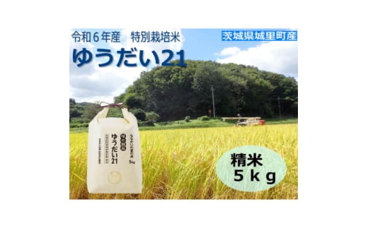 令和6年産＜R5 いばらき米の極み頂上コンテスト受賞＞特別栽培米「ゆうだい21」精米5kg【1557706】 1533203 - 茨城県茨城県庁