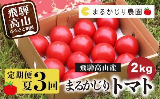 【2025年予約受付】【定期便 3ヶ月】＜全3回（8～10月 毎月1回）＞ 飛騨高山産 トマト 『麗月』2kg | 先行予約 とまと tomato 産地直送 夏 野菜 飛騨高山 まるかじり農園 FW101 592256 - 岐阜県高山市