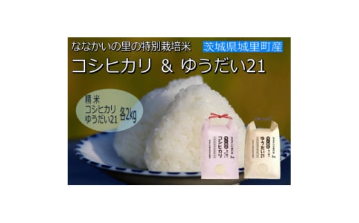 令和6年産＜特別栽培米＞「コシヒカリ」&「ゆうだい21」精米セット4kg(2kg×2袋)【1557707】 1533204 - 茨城県茨城県庁